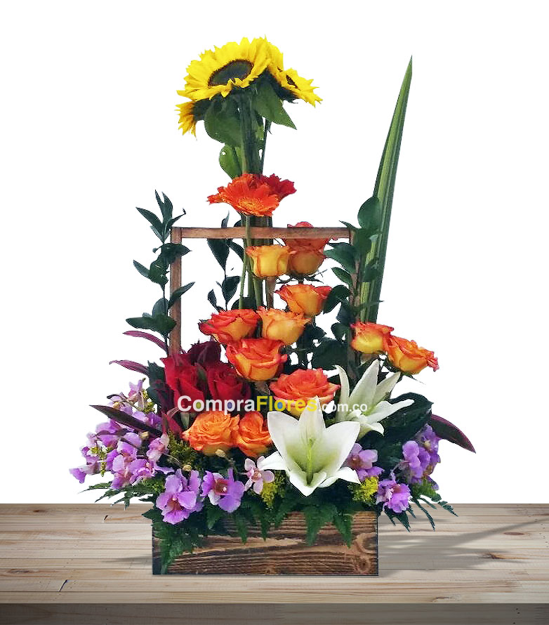 Hermosa Primavera, Flores En Cali