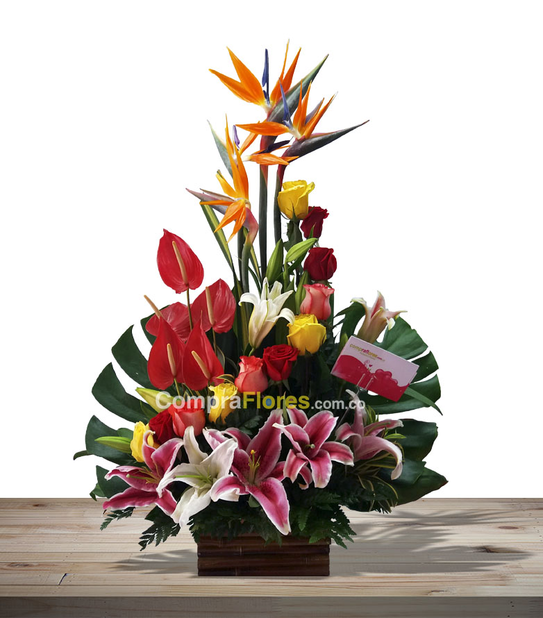 Cumpleaños floristerias en cali