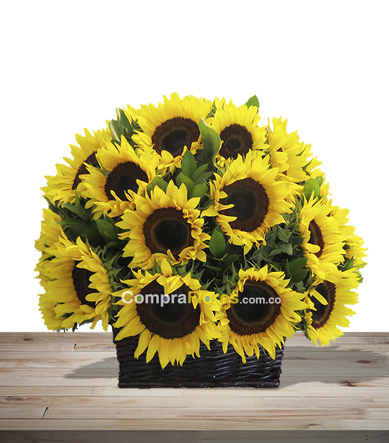 Canasta de Girasoles