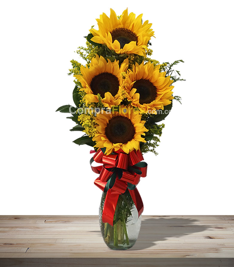 Cristal de Girasoles en Cali