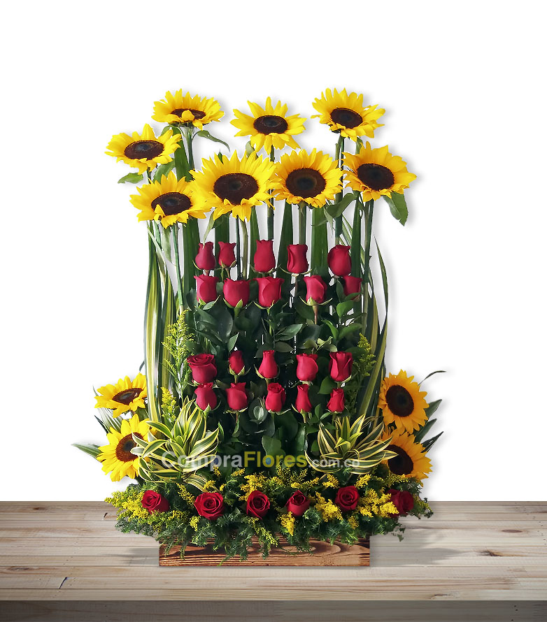 Rosas y Girasoles, Flores en Cali