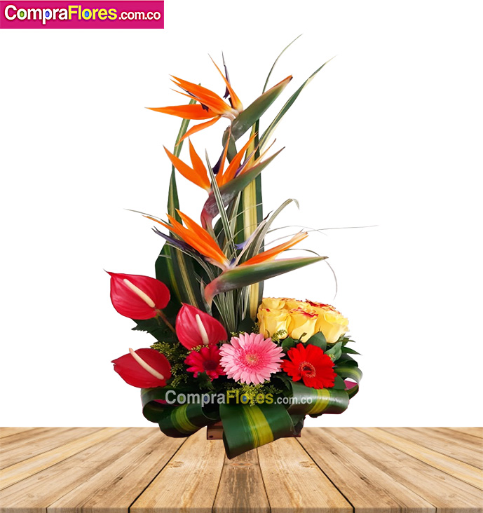 Flores exoticas y rosas, flores cali