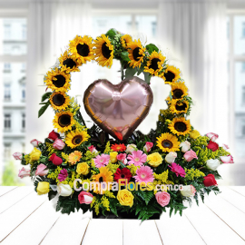 Mi Centro de atraccion 