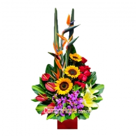 Obsequio Floral Cali